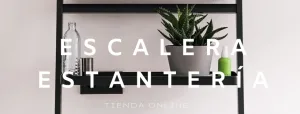 Escalera estantería